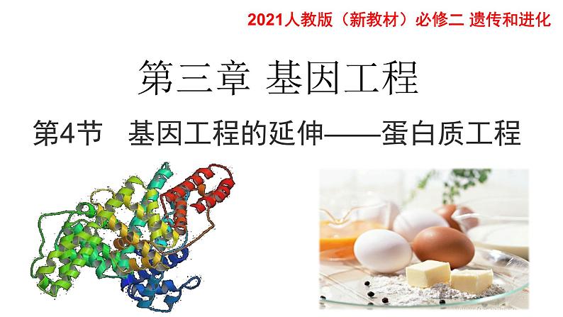 高中生物选择性必修三 3.4蛋白质工程的崛起 课件第1页