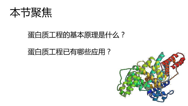 高中生物选择性必修三 3.4蛋白质工程的崛起 课件第2页