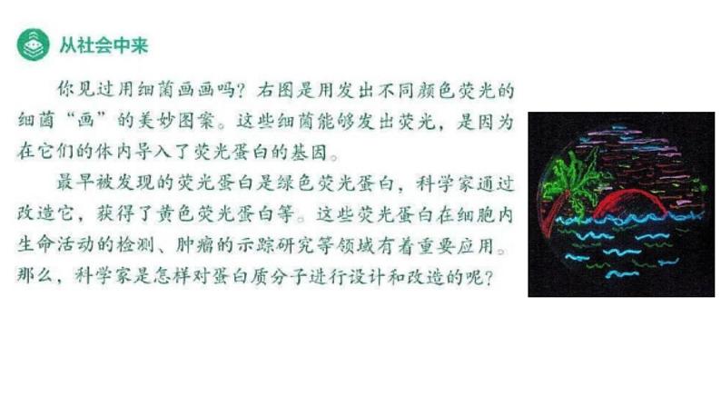 高中生物选择性必修三 3.4蛋白质工程的崛起 课件第3页
