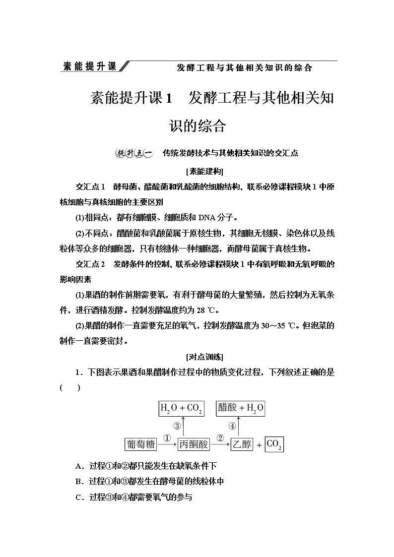 高中生物选择性必修三 第1章 素能提升课 发酵工程与其他相关知识的综合 讲义第1页