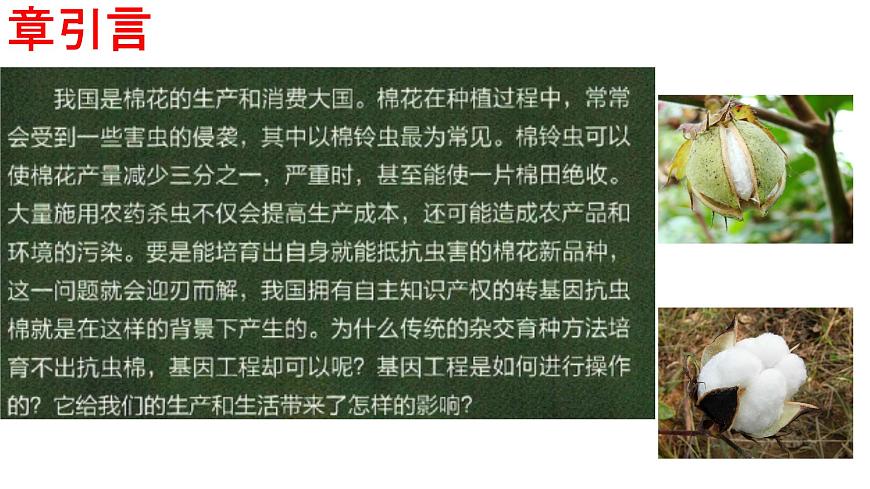 高中生物選擇性必修三  3.1DNA重組技術(shù)的基本工具 課件第1頁
