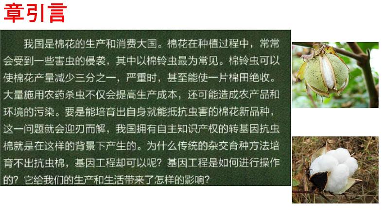 高中生物选择性必修三 3.1DNA重组技术的基本工具 课件第1页