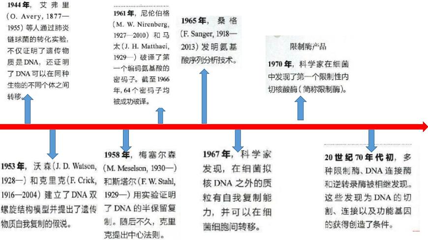 高中生物選擇性必修三  3.1DNA重組技術(shù)的基本工具 課件第2頁