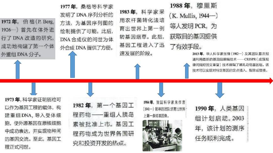 高中生物選擇性必修三  3.1DNA重組技術(shù)的基本工具 課件第3頁