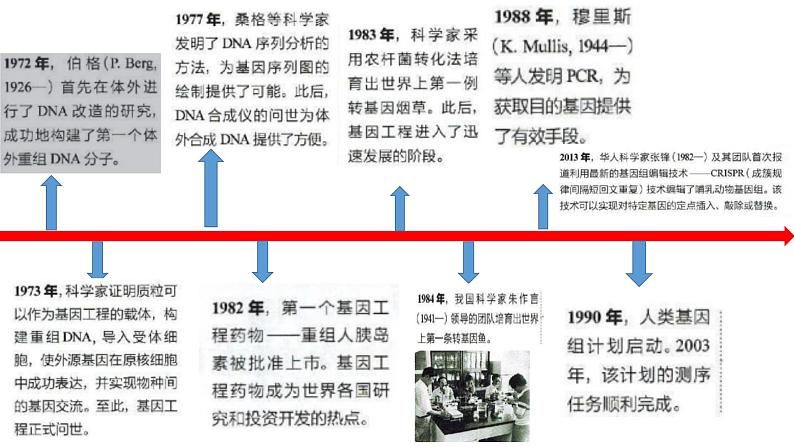 高中生物选择性必修三 3.1DNA重组技术的基本工具 课件第3页