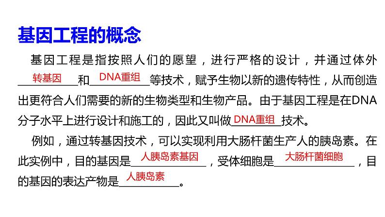 高中生物选择性必修三 3.1DNA重组技术的基本工具 课件第4页