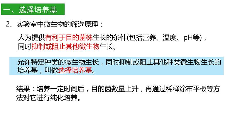高中生物选择性必修三 1.2 微生物的培养技术及应用(第二课时) 课件05