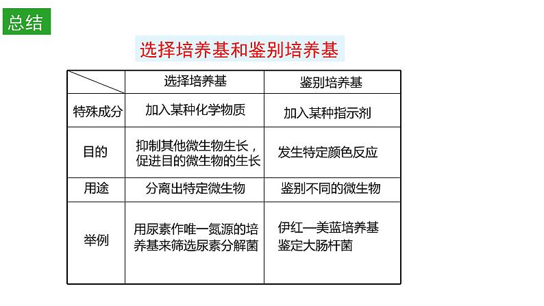高中生物选择性必修三 1.2 微生物的培养技术及应用(第二课时) 课件07