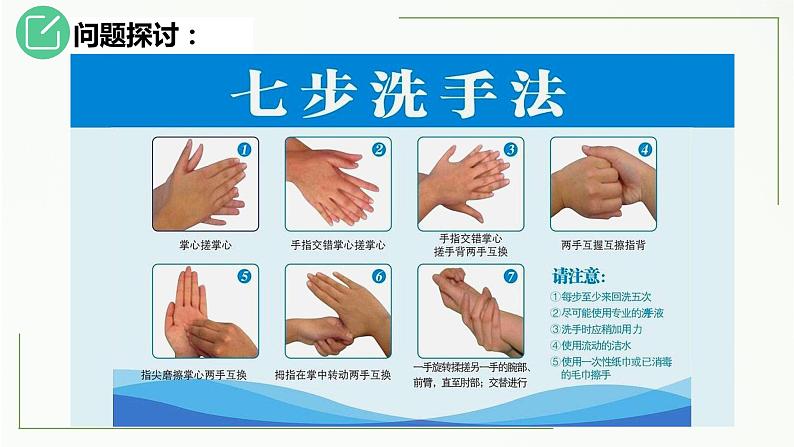高中生物选择性必修二 1.2 种群的数量变化(第1课时)精讲课件第5页