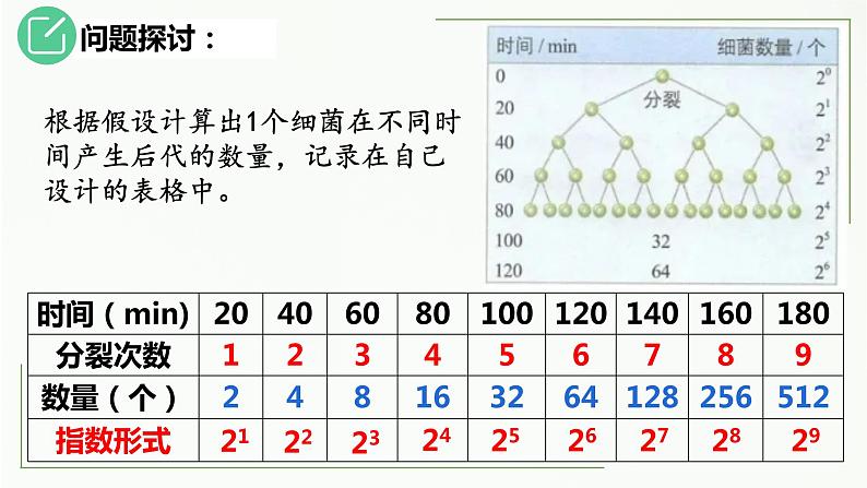 高中生物选择性必修二 1.2 种群的数量变化(第1课时)精讲课件第7页