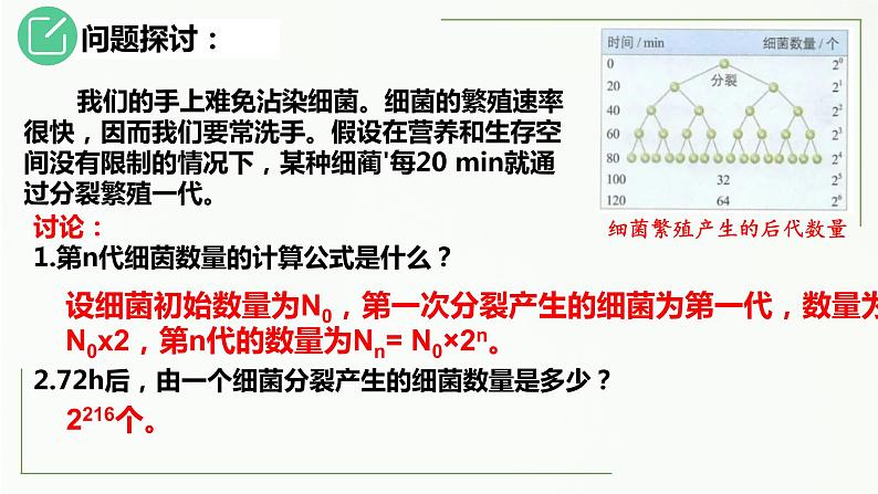 高中生物选择性必修二 1.2 种群的数量变化(第1课时)精讲课件第8页