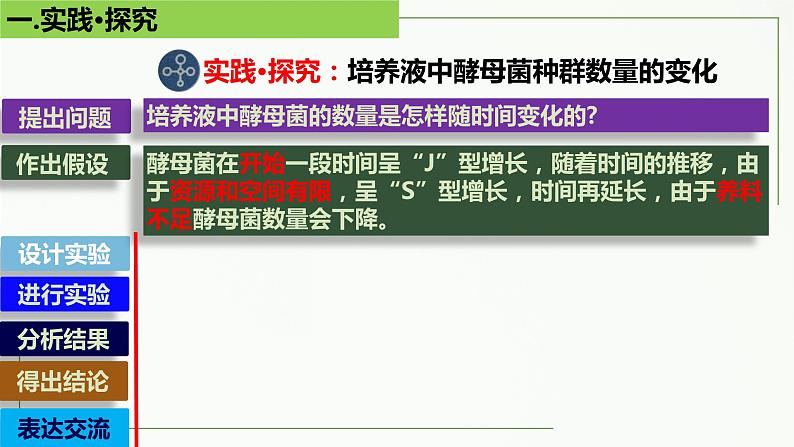 高中生物选择性必修二 1.2 种群的数量变化(第2课时)精讲课件第5页