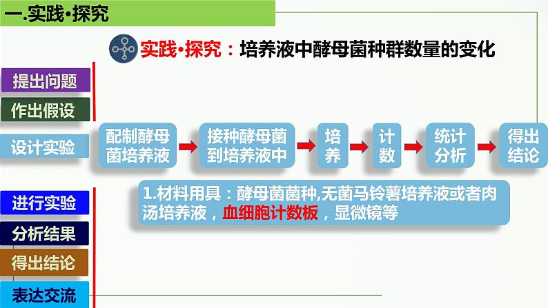 高中生物选择性必修二 1.2 种群的数量变化(第2课时)精讲课件第6页