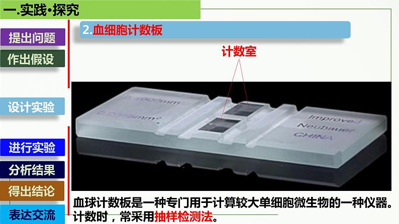 高中生物选择性必修二 1.2 种群的数量变化(第2课时)精讲课件第7页