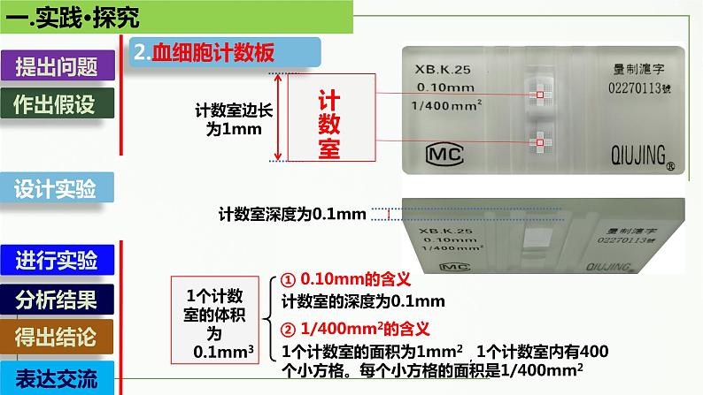 高中生物选择性必修二 1.2 种群的数量变化(第2课时)精讲课件第8页