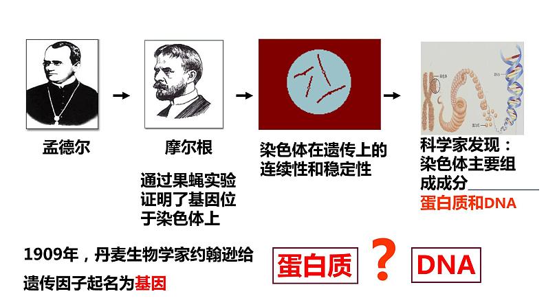 高中生物第二册 3.1DNA是主要的遗传物质 课件03