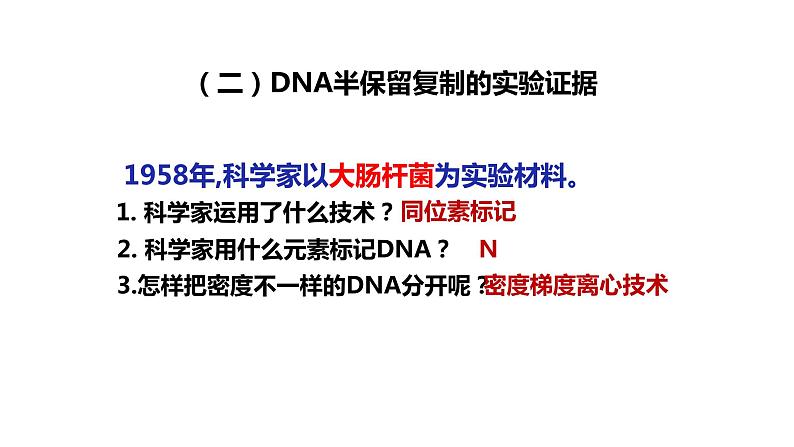 高中生物第二册 3.3DNA的复制 课件08