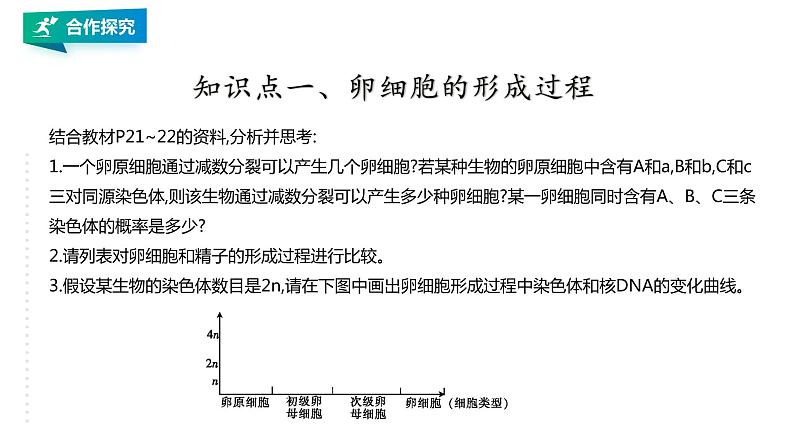 高中生物第二册 2.1.2减数分裂和受精作用2 课件03