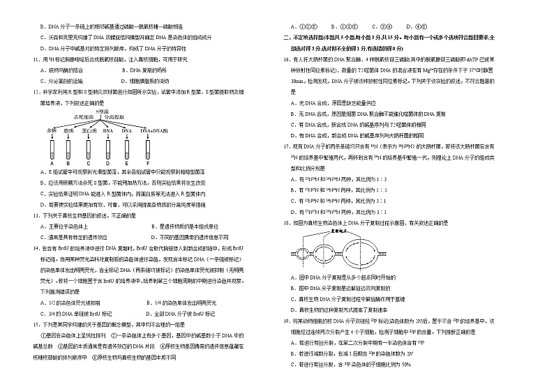 高中生物第二册 2020-2021学年必修2第三单元基因的本质达标检测卷 (A) (无答案)02
