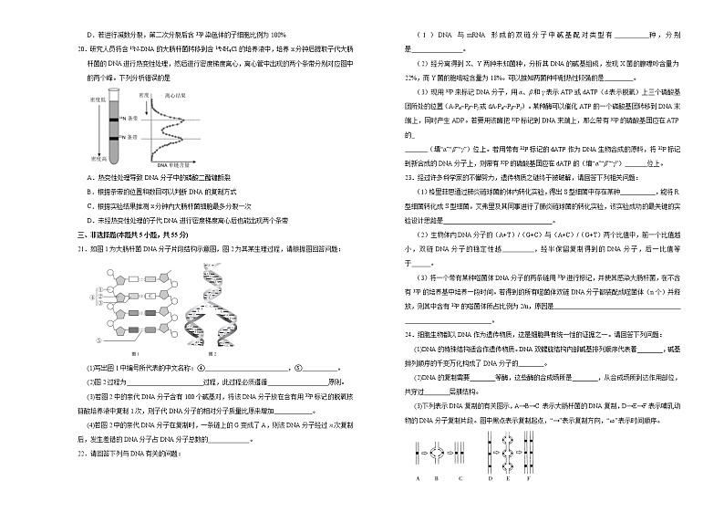 高中生物第二册 2020-2021学年必修2第三单元基因的本质达标检测卷 (A) (无答案)03