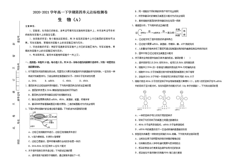 高中生物第二册 2020-2021学年必修2第四单元基因的表达达标检测卷 (A) (无答案)第1页