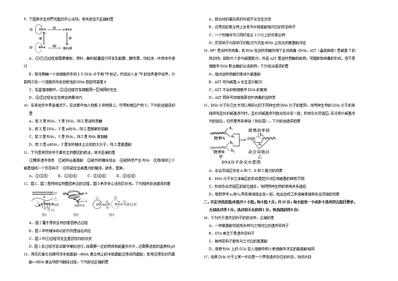 高中生物第二册 2020-2021学年必修2第四单元基因的表达达标检测卷 (A) (无答案)第2页