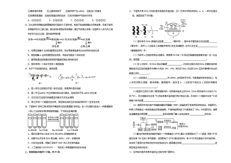高中生物第二册 2020-2021学年必修2第四单元基因的表达达标检测卷 (A) (无答案)第3页