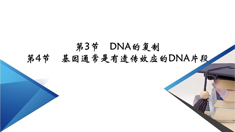高中生物第二册 第3章 第3、4节 DNA的复制 基因通常是有遗传效应的DNA片段 课件02