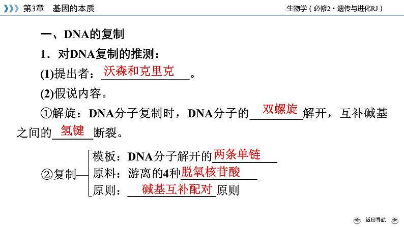 高中生物第二册 第3章 第3、4节 DNA的复制 基因通常是有遗传效应的DNA片段 课件08