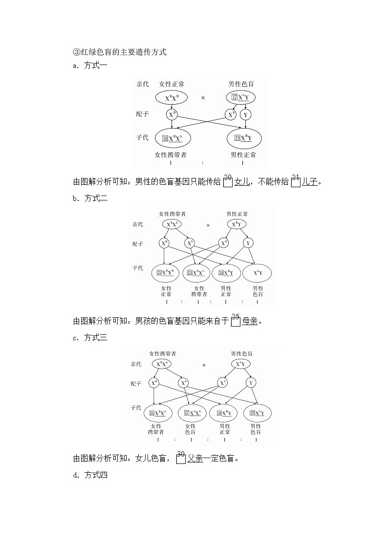 高中生物第二册 第2章 第3节伴性遗传第3页