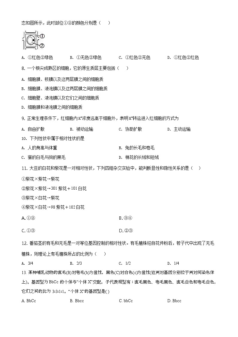 高中生物第二册 精品解析.天津市滨海新区大港太平村中学2019-2020学年高一下学期期末质量检测生物试题(无答案)第2页
