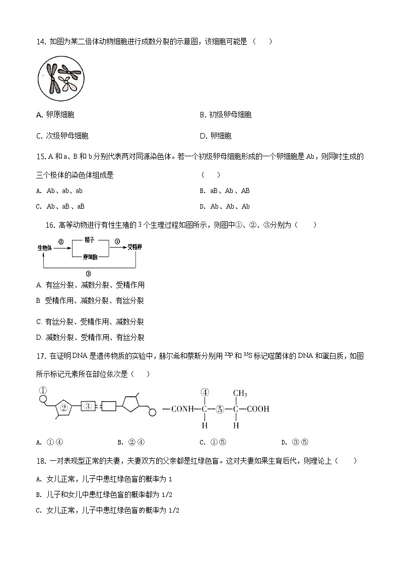高中生物第二册 精品解析.天津市滨海新区大港太平村中学2019-2020学年高一下学期期末质量检测生物试题(无答案)第3页