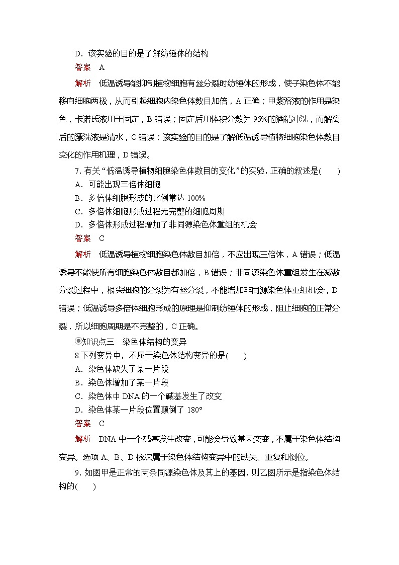高中生物第二册 染色体变异 教案03