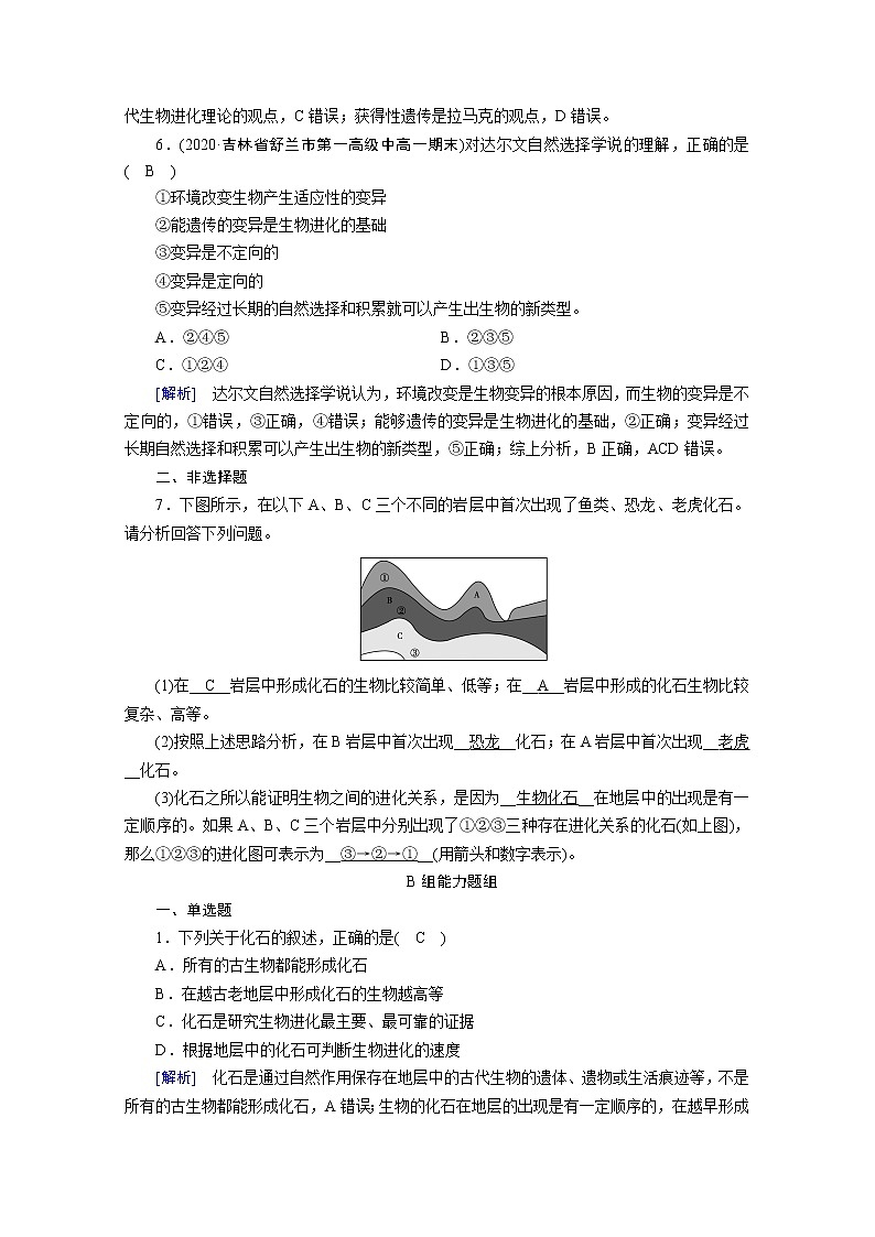 高中生物第二册 课堂作业.第6章 第1、2节 生物有共同祖先的证据 自然选择与适应的形成第2页