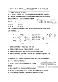 湖北省襄阳市襄州区第一高级中学2022-2023学年高二上学期9月月考生物试题（Word版附答案）