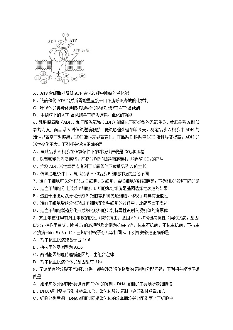 江西省“红色十校”2022-2023学年高三上学期第一次联考试题生物(Word版附解析)第2页
