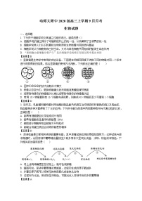 黑龙江省哈尔滨师范大学附属中学2023届高三上学期9月月考生物试题（Word版附答案）