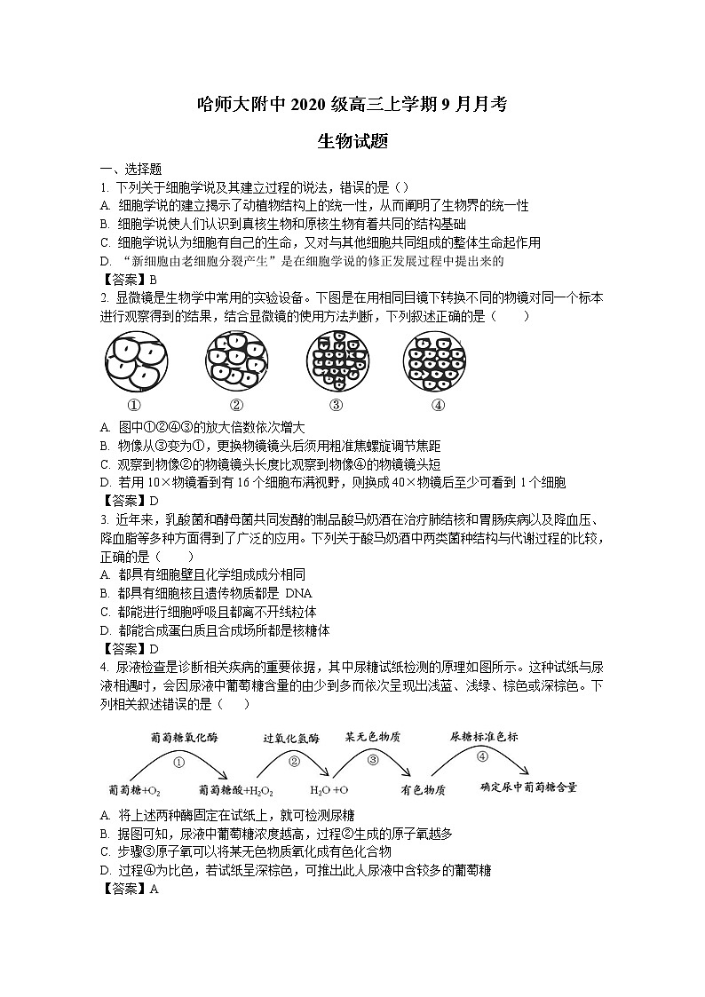 黑龙江省哈尔滨师范大学附属中学2023届高三上学期9月月考生物试题(Word版附答案)01