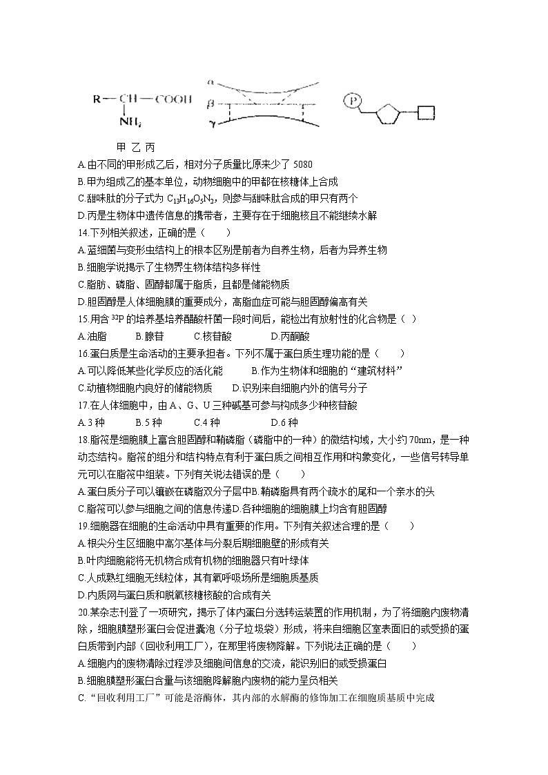 黑龙江省哈尔滨市第三中学2022-2023学年高三上学期第一次验收考试(9月)生物(Word版附答案)第3页