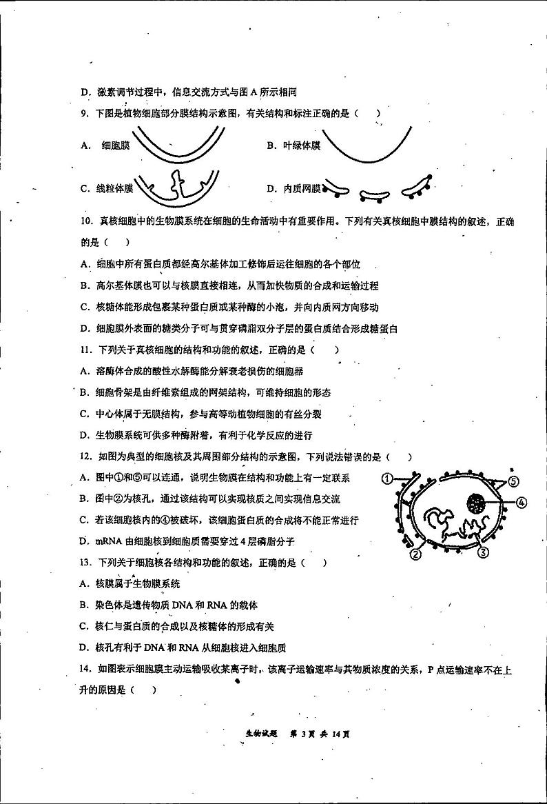 2023通化梅河口五中高三上学期9月月考生物试题扫描版无答案第3页