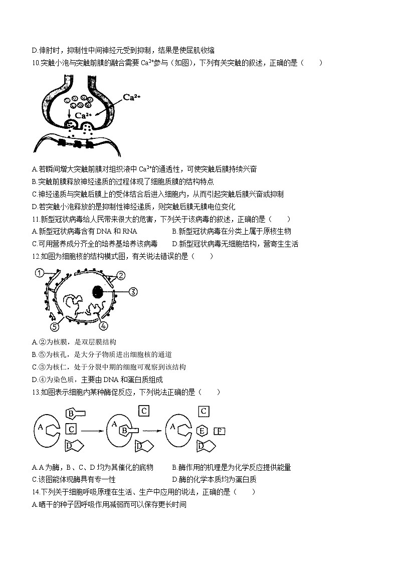 2023盐城伍佑中学高二上学期学情调研(一)生物试题第3页