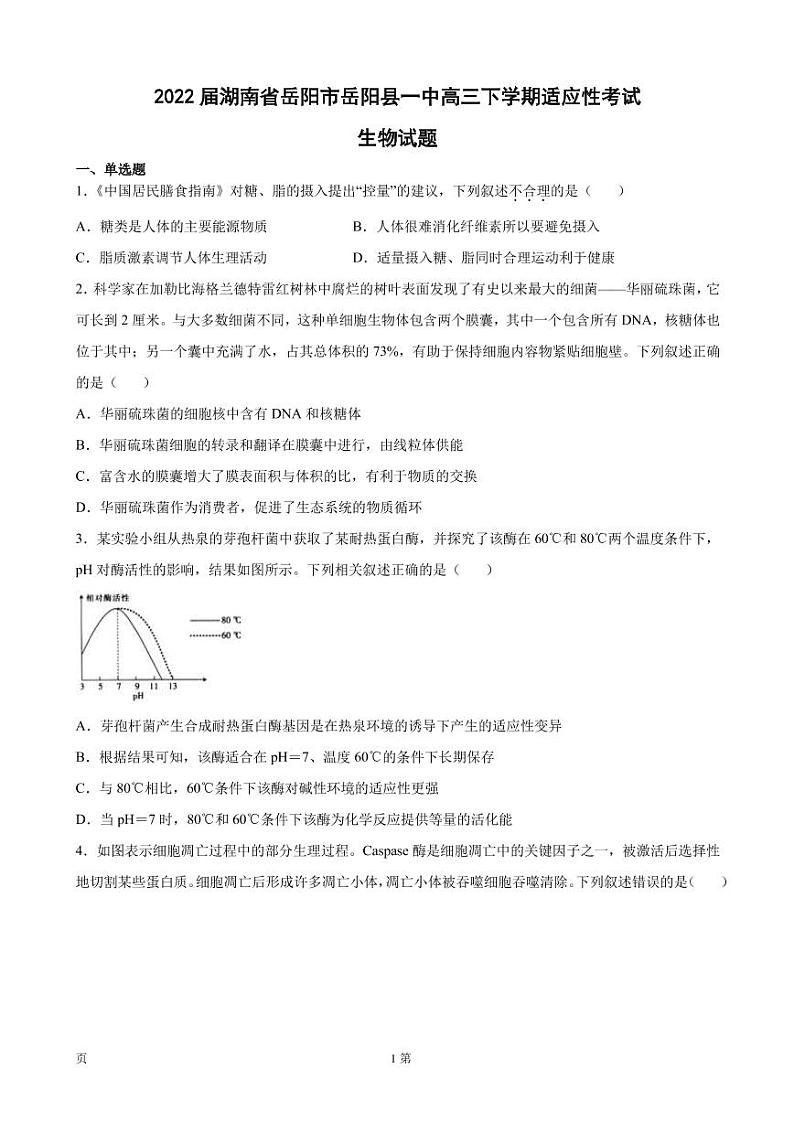 2022届湖南省岳阳市岳阳县一中高三下学期适应性考试生物试题(PDF版)01