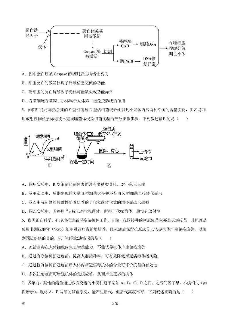 2022届湖南省岳阳市岳阳县一中高三下学期适应性考试生物试题(PDF版)02