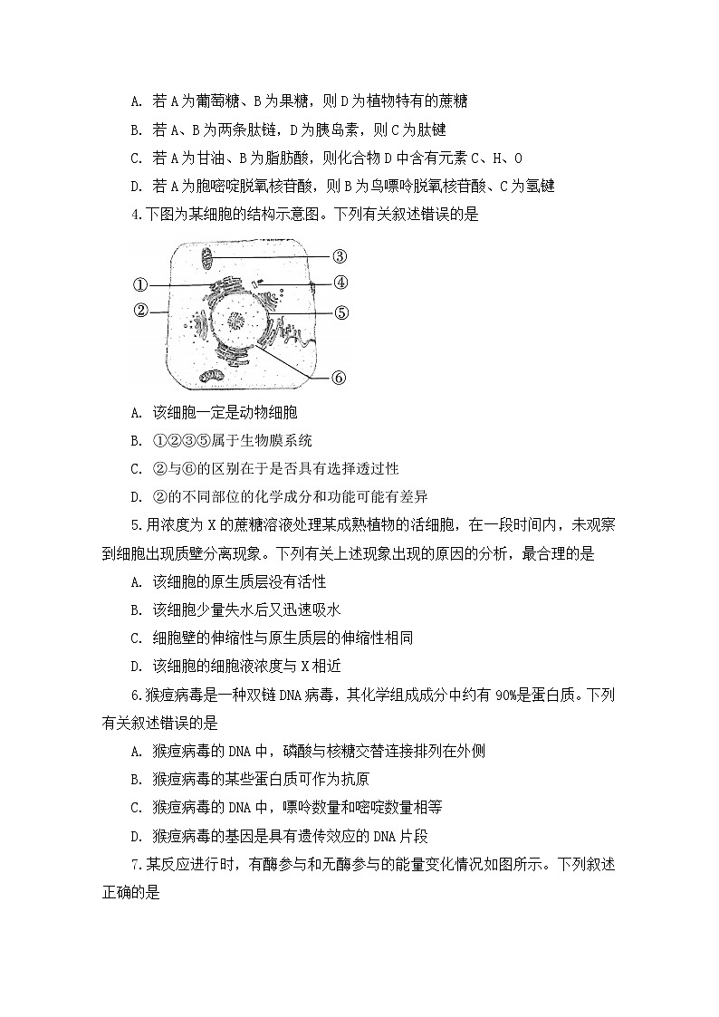 福建省百校聯(lián)考2022-2023學年高三生物上學期第一次考試（10月）（Word版附答案）第2頁