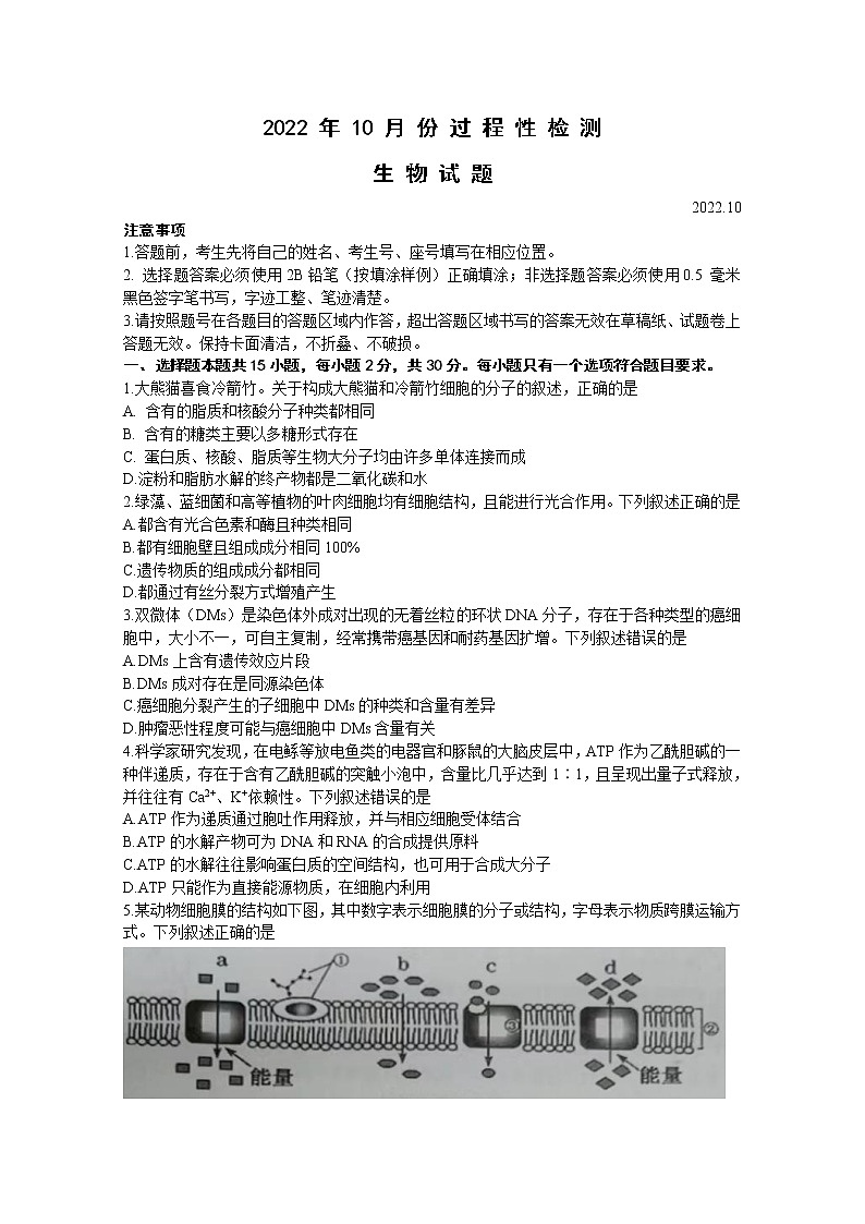 山东省潍坊市(安丘、诸城、高密)三县市2023届高三生物上学期10月联考试题(Word版附答案)01