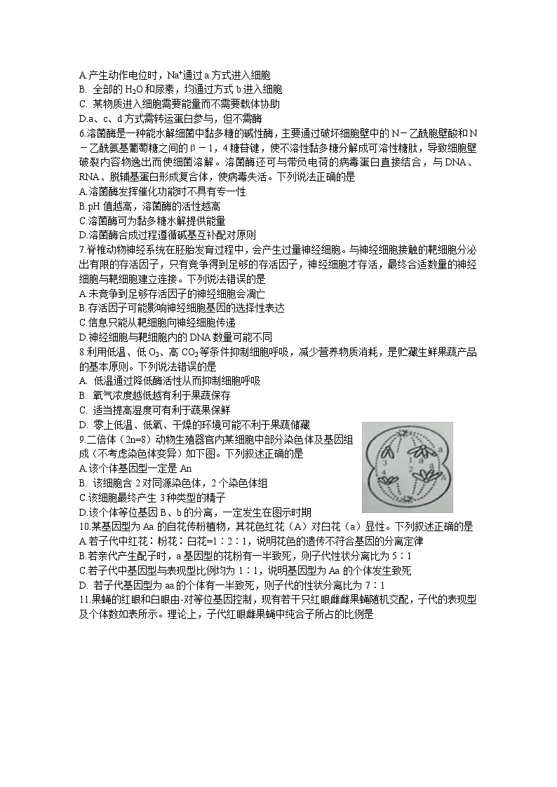 山东省潍坊市(安丘、诸城、高密)三县市2023届高三生物上学期10月联考试题(Word版附答案)02