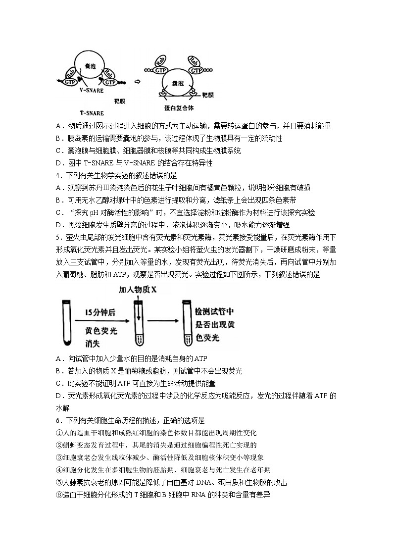 山西省长治市2022-2023学年高三生物9月质量检测试题(Word版附答案)第2页