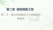 高中生物浙科版 (2019)选择性必修3  生物技术与工程第二节  通过体细胞杂交可获得新的植物体多媒体教学ppt课件