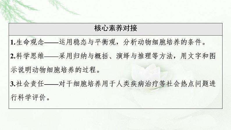 浙科版高中生物选择性必修3第3章第1节细胞培养是动物细胞工程的基础课件03