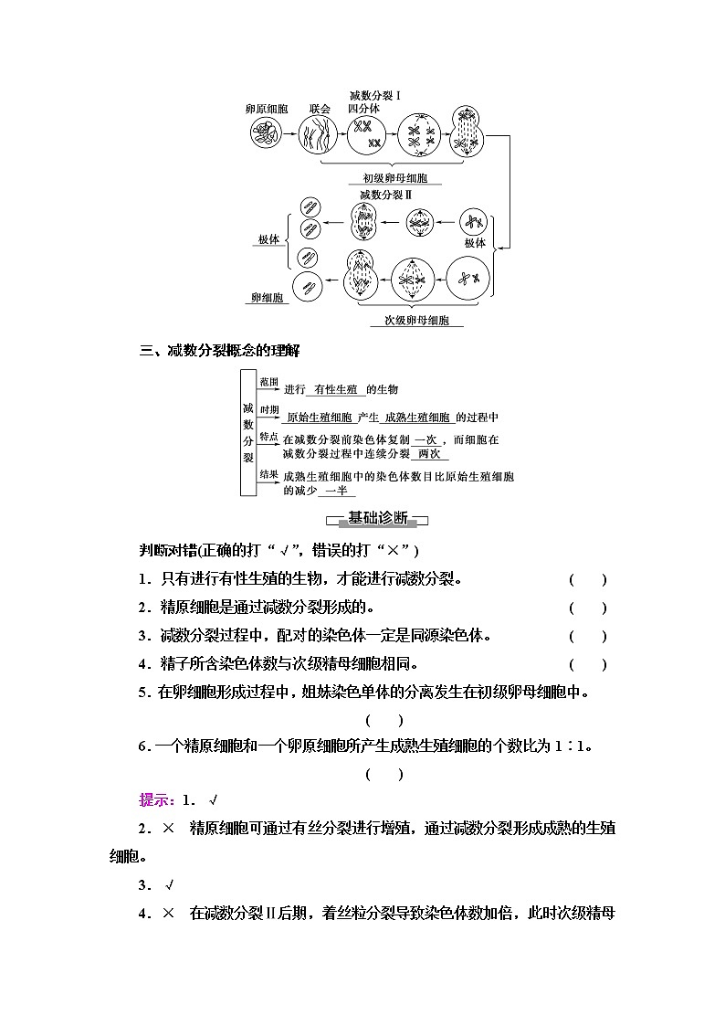 人教版高中生物必修2第2章第1节第1课时减数分裂学案第3页